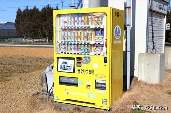 日本拉面机器多少钱一台（最新拉面机器多少钱一台）