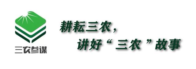 致富经一亩地赚三十万视频（致富经一亩地赚三十万 科技苑）