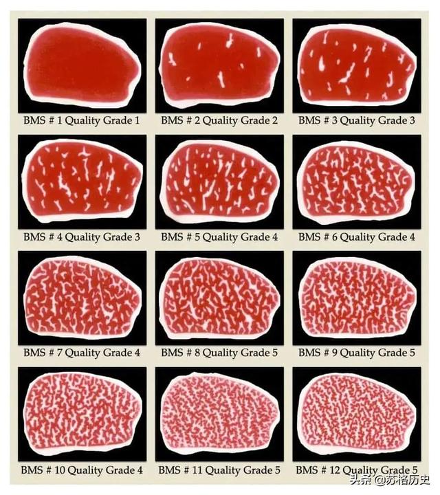 雪花牛肉多少钱一斤_（日本和牛雪花牛肉多少钱一斤）