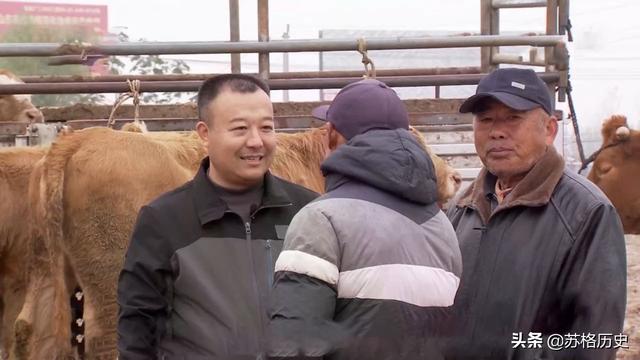 雪花牛肉多少钱一斤_（日本和牛雪花牛肉多少钱一斤）