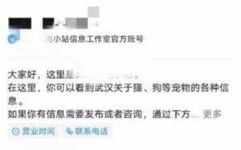 零投资一天赚1000下载（零投资一天赚1000元）