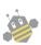 蜂蜜品牌设计（蜂蜜品牌logo）