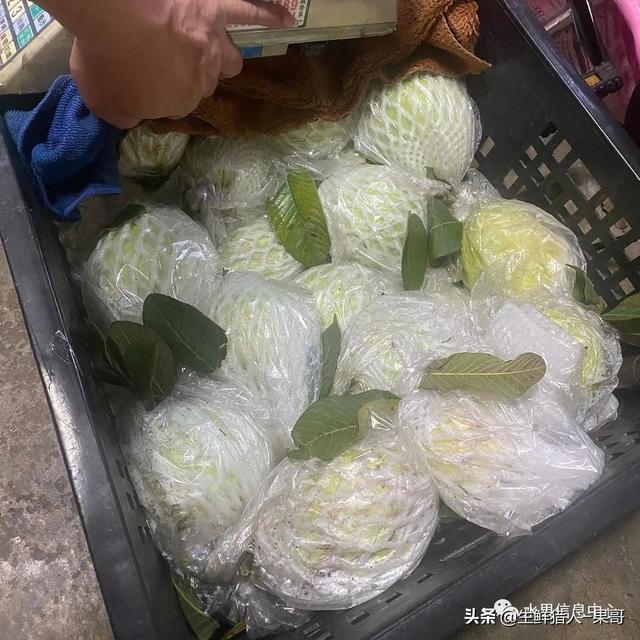 南方水果名称图片大全菠萝蜜（南方水果名称图片大全番荔枝）