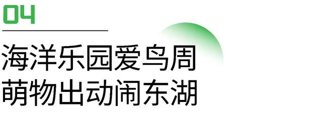 梦回大秦穿越体验馆视频（梦回大秦穿越体验馆图片）