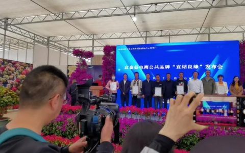 视频号直播流量怎么来（视频号直播有自然流量吗）