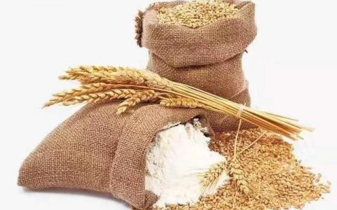 今天小麦最新价格多少钱一斤河北省小麦没斤多少钱（山东今天小麦最新价格多少钱一斤）