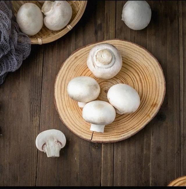 口蘑是白蘑菇吗口蘑菇是不是白蘑菇