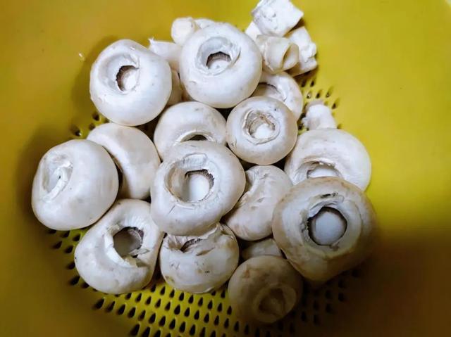口蘑是白蘑菇吗口蘑菇是不是白蘑菇