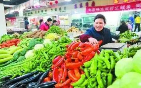 高丽菜和包菜的区别（高丽菜是什么青菜）