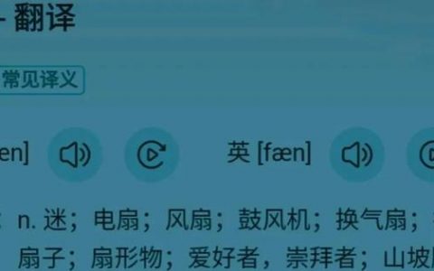 我是你最忠实的粉丝是什么意思（我是您的忠实粉丝）