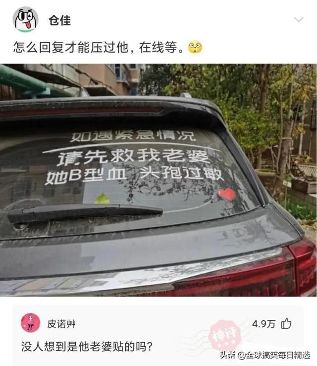 bgm是什么意思GM网络语什么意思（bgm是什么意思）