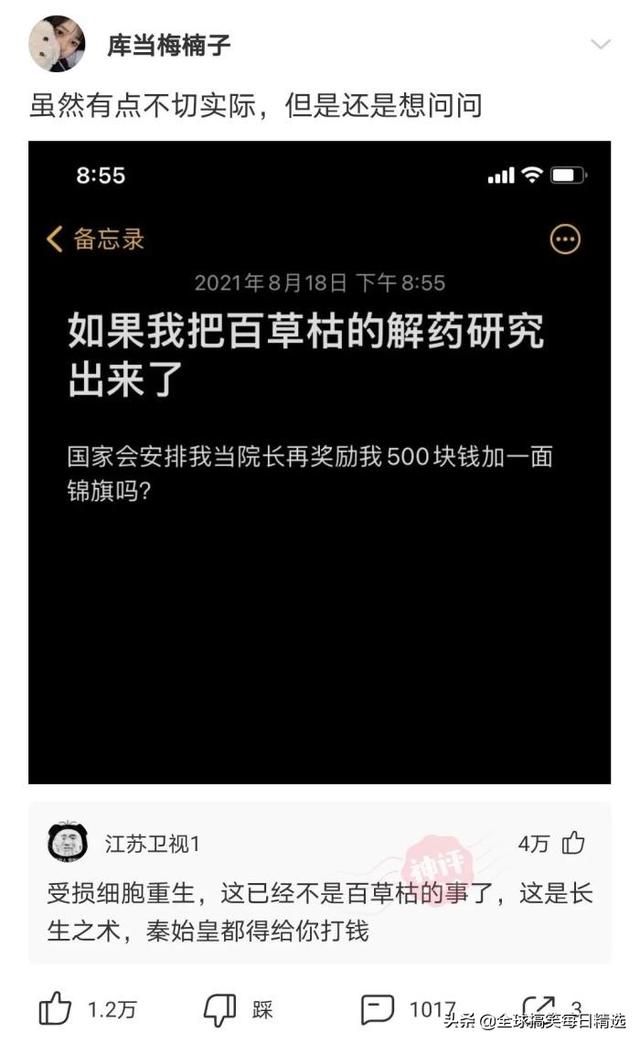 bgm是什么意思GM网络语什么意思（bgm是什么意思）