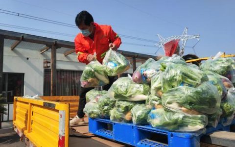 拼多多买菜自提点怎么赚钱申请（拼多多买菜自提门店怎么赚钱）