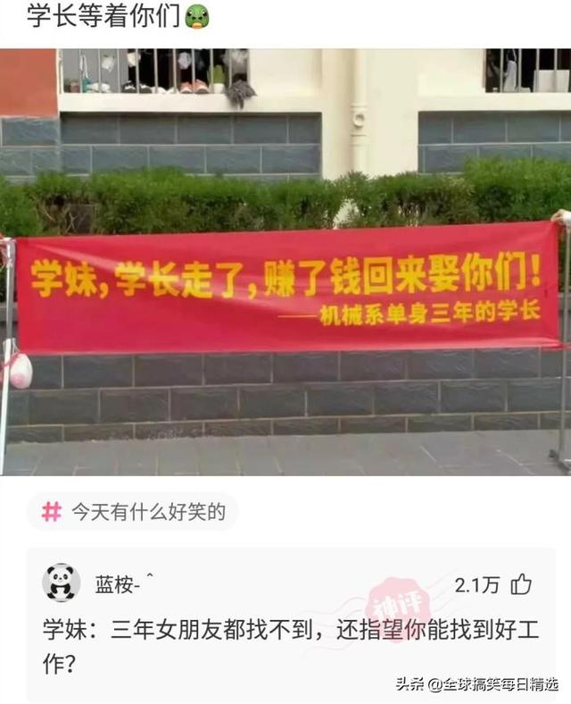 bgm是什么意思GM网络语什么意思（bgm是什么意思）