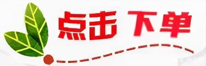 淘宝上卖什么比较热销（淘宝什么东西卖的最好）