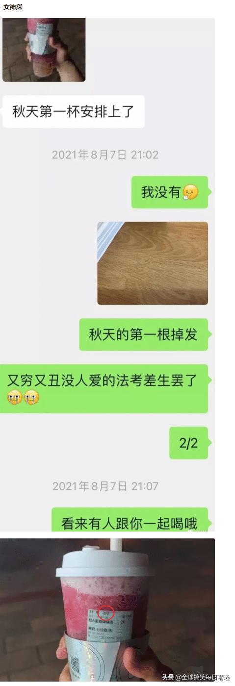 bgm是什么意思GM网络语什么意思（bgm是什么意思）