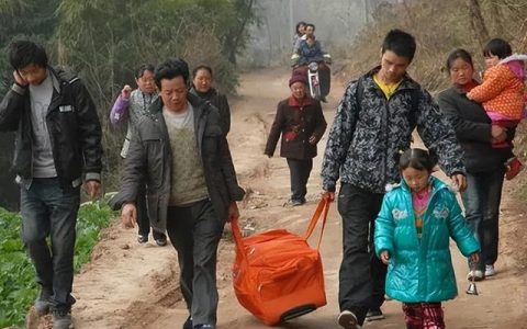 兔子收购价格最新价格多少钱一斤（兔子收购的价格）
