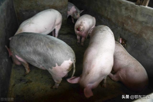 农村做什么行业能挣钱（农村做啥挣钱）