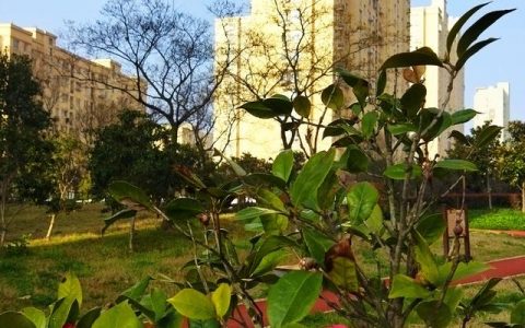 中间商做什么生意赚钱快呢（什么生意中间商最赚钱）