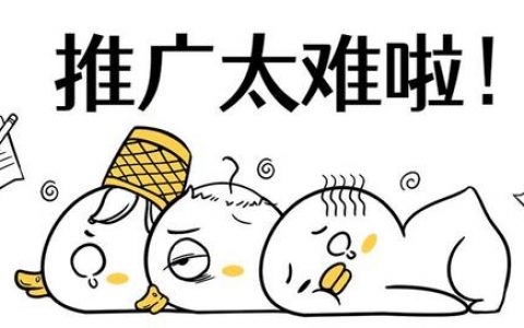 拼多多一般怎么推广（拼多多有哪些推广营销渠道）