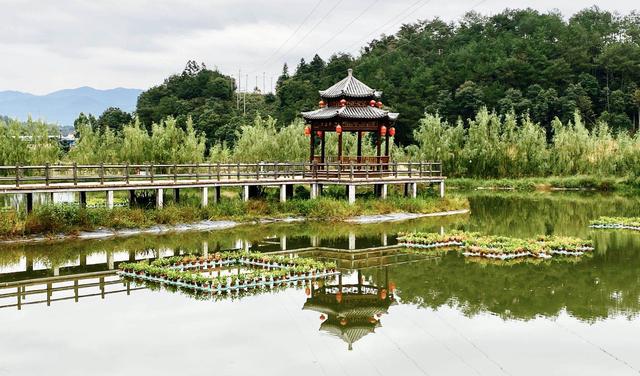 020年什么是最暴利的生意（2020年不起眼的暴利小生意）"