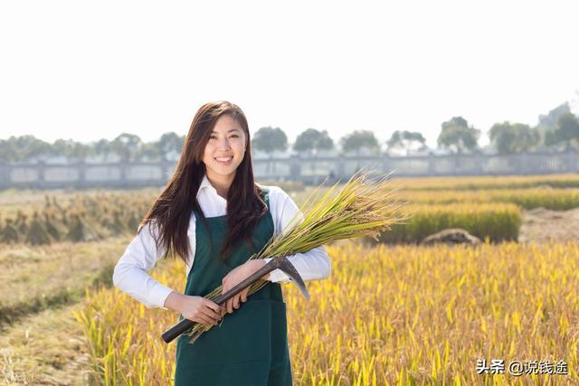 农村5个药材种植致富项目（农村种植药材致富项目）