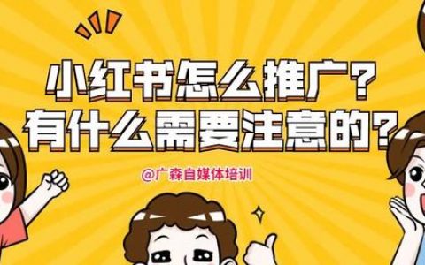 小红书怎么推广只选天天软文（小红书怎么推广文章）
