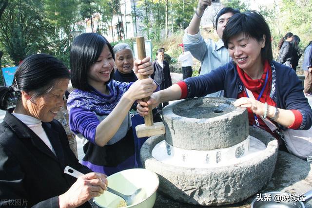 农村5个药材种植致富项目（农村种植药材致富项目）