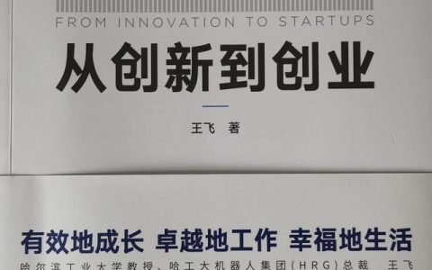 大学生创新创业论文1500字（大学生创新创业文章500字）