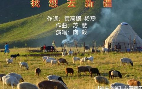 新疆歌曲抖音最火的一首歌（新疆歌曲 抖音）