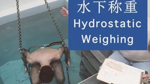 1cm是多大的腰围（71厘米是几尺）"