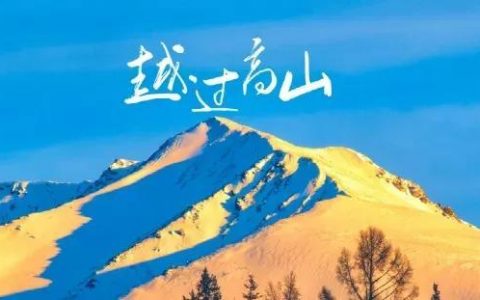 淘宝客是返利吗（淘客可以自己买东西返利吗）