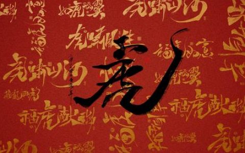 客服运营岗位是做什么的（保险公司运营岗位是做什么的）
