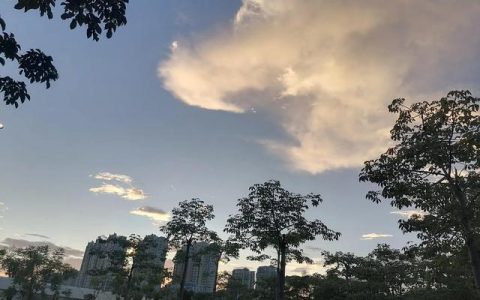 西瓜视频如何赚钱屏怎么没收益（西瓜视频如何赚钱下载安装）