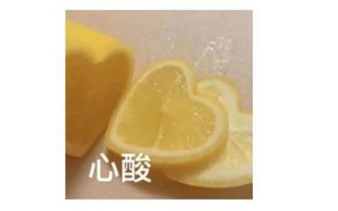 雅思英语培训机构排名前十名（雅思英语培训机构排名前十强）