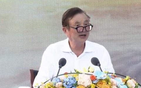 企业组织架构图模板电子版（企业组织架构图模板下载）