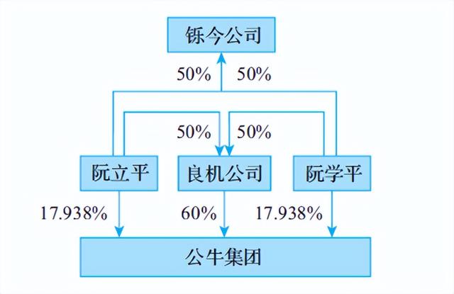 公司股权结构设计案例图（公司股权结构设计案例怎么写）