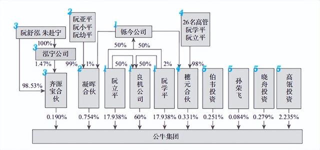 公司股权结构设计案例图（公司股权结构设计案例怎么写）