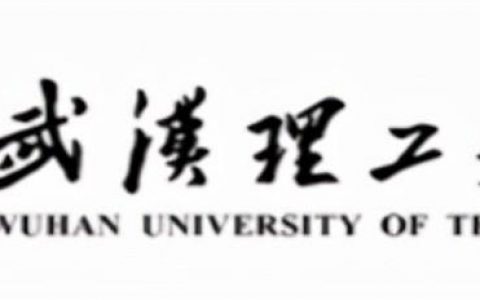 武汉理工大学网上缴费平台入口（武汉理工大学网上缴费平台官网）