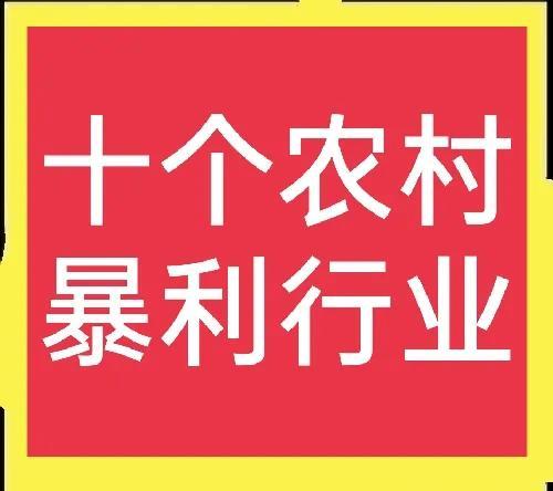 有什么项目适合农村发展的_，适合农村经济发展的项目？