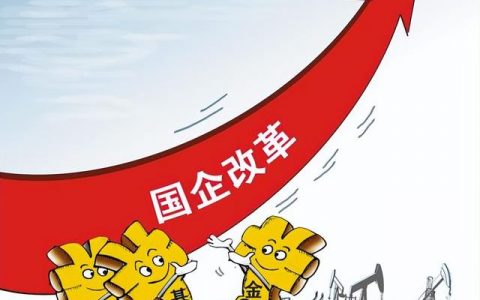 平台公司和国企的区别在哪里（平台公司和国企的区别在哪儿）