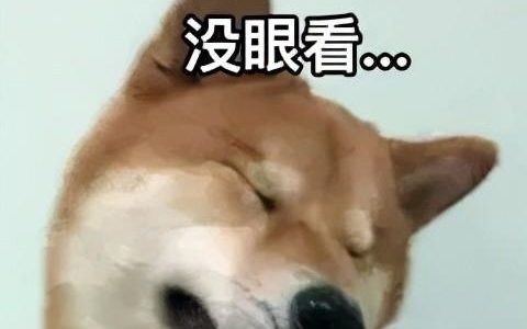 在线观看免费的色直播视频，