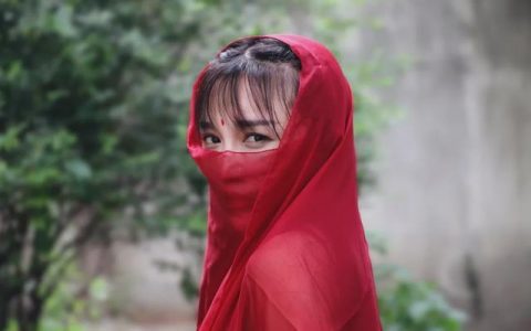 如何看待李子柒创业成功，李子柒创业案例分析500字？