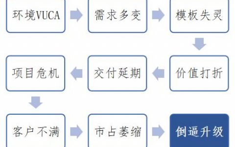 咨询项目主要做什么，咨询项目主要做什么的