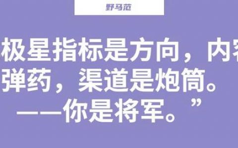 软文营销案例200字，软文营销案例200字图片？