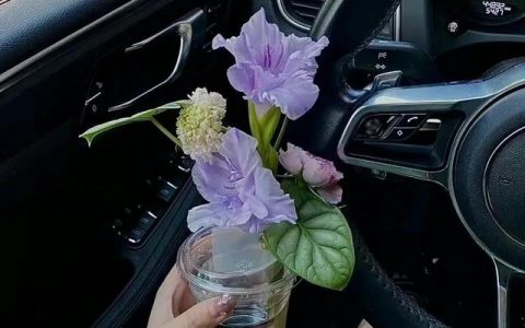 线上推广平台都有哪些平台好，线上推广平台都有哪些平台可以做？