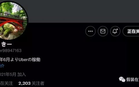 国内挣钱多还是日本挣钱多，中国人在日本做什么赚钱快？