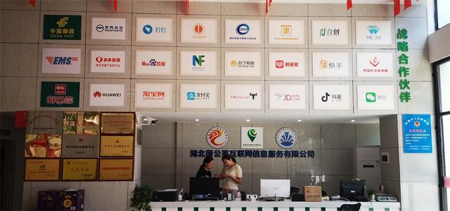 武汉海山集团蒲公英互联网信息服务推进乡村振兴成绩斐然