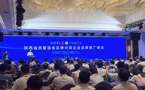 品牌推广策略与方式案例，品牌推广策略与方式、内容？