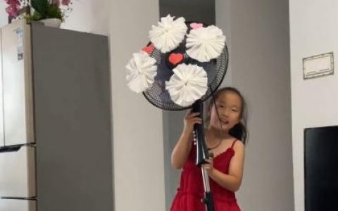 抖音出现多久了，抖音发日常会消失吗？